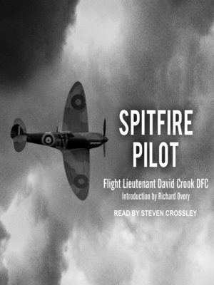 cover image of Spitfire Pilot
